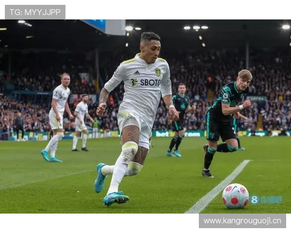 拉菲尼亚数据含金量与战术角色解析 拉菲尼亚数据含金量与战术角色解析